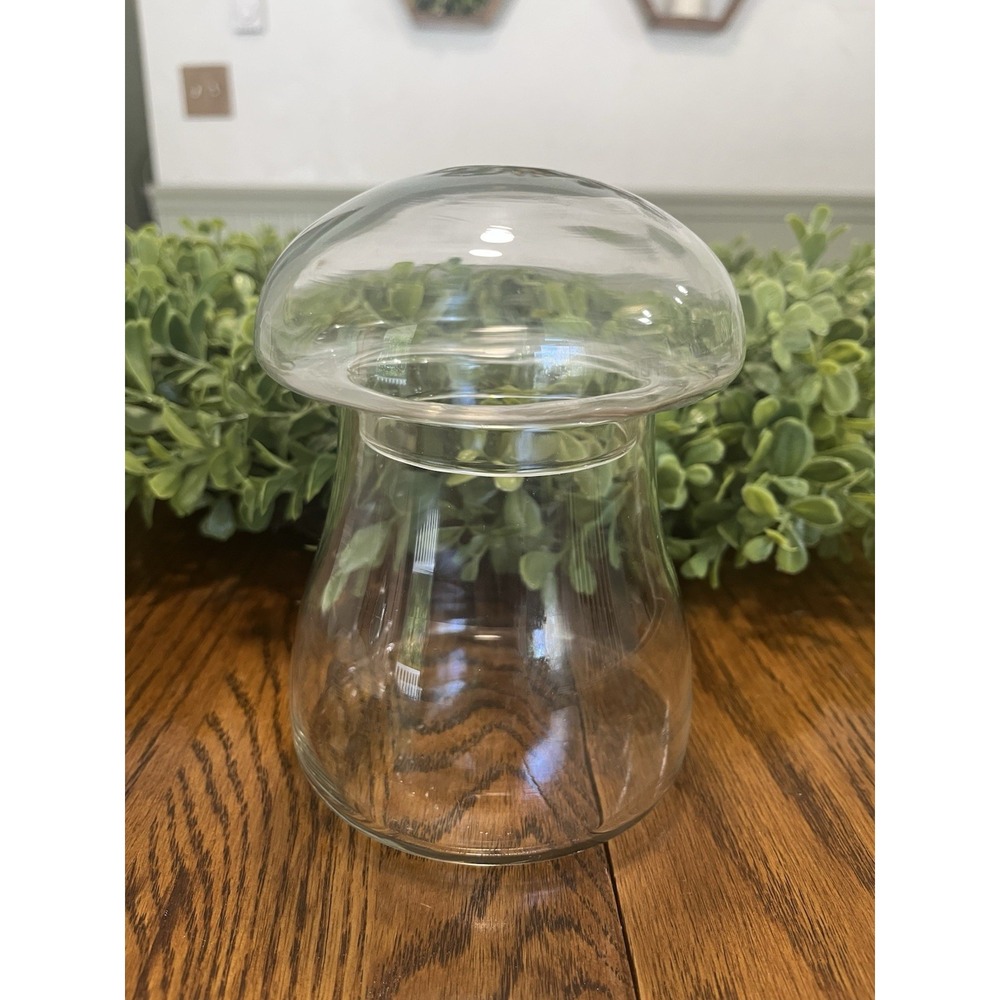 Vintage Mid Century Clear Glass Mushroom Shaped Terrarium Jar
